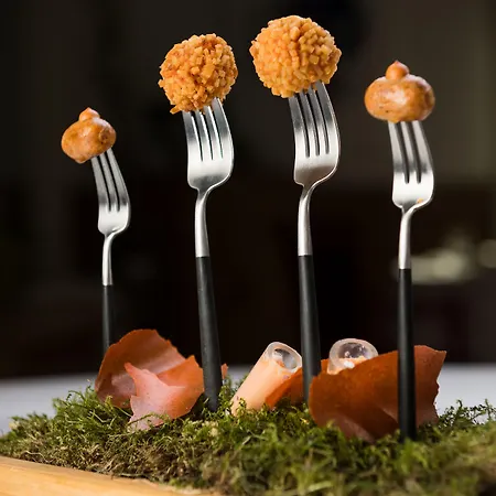 Schloss Prielau & Restaurants فندق